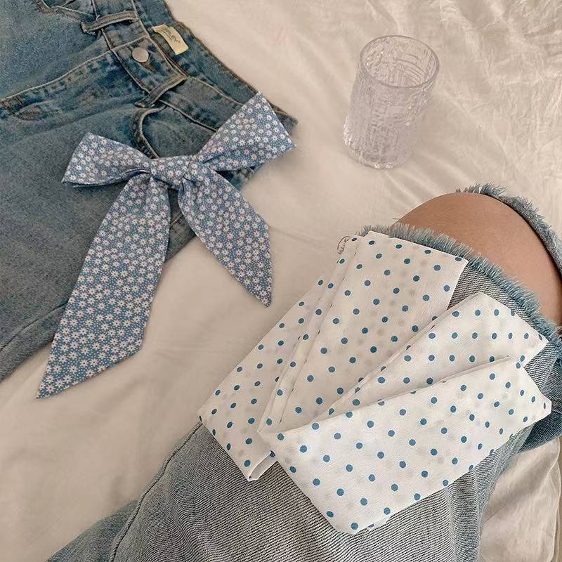 Nouveau foulard twilly bleu pr - Travel Accessories Aesthetic avis et prix